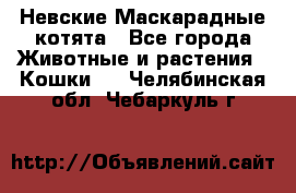 Невские Маскарадные котята - Все города Животные и растения » Кошки   . Челябинская обл.,Чебаркуль г.
